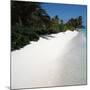 Tropical Beach-null-Mounted Photographic Print