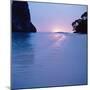 Tropical Beach-null-Mounted Photographic Print