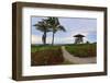 Tropical Beach-ddmitr-Framed Photographic Print