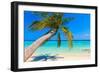 Tropical Beach-Molbert-Framed Photographic Print