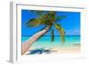 Tropical Beach-Molbert-Framed Photographic Print