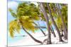 Tropical Beach-noblige-Mounted Photographic Print