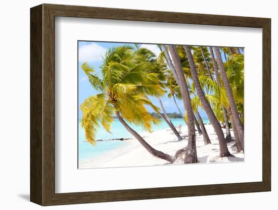 Tropical Beach-noblige-Framed Photographic Print