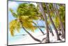 Tropical Beach-noblige-Mounted Photographic Print