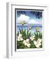 Tropical Beach-Linda Braucht-Framed Giclee Print