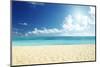 Tropical Beach-Iakov Kalinin-Mounted Premium Photographic Print