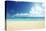 Tropical Beach-Iakov Kalinin-Stretched Canvas