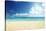 Tropical Beach-Iakov Kalinin-Stretched Canvas