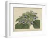 Tropical Beauty IV-Sydenham Teast Edwards-Framed Art Print