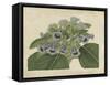 Tropical Beauty IV-Sydenham Teast Edwards-Framed Stretched Canvas