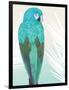 Tropical Bird 1-Marco Fabiano-Framed Art Print