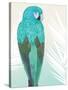 Tropical Bird 1-Marco Fabiano-Stretched Canvas