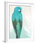 Tropical Bird 1-Marco Fabiano-Framed Art Print