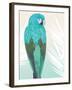 Tropical Bird 1-Marco Fabiano-Framed Art Print