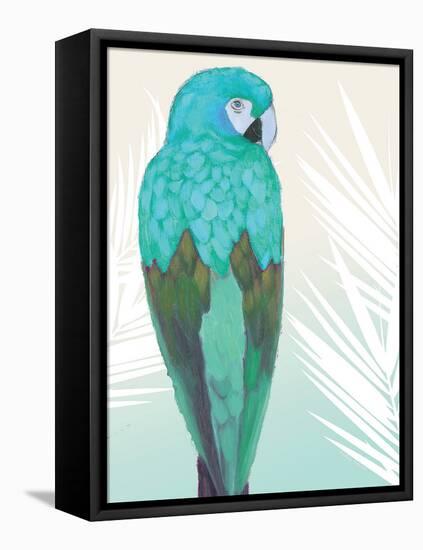 Tropical Bird 1-Marco Fabiano-Framed Stretched Canvas