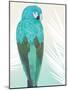 Tropical Bird 1-Marco Fabiano-Mounted Art Print