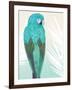 Tropical Bird 1-Marco Fabiano-Framed Art Print