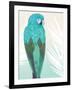 Tropical Bird 1-Marco Fabiano-Framed Art Print