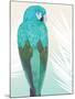 Tropical Bird 1-Marco Fabiano-Mounted Art Print