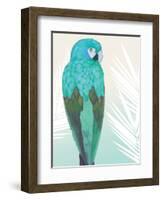 Tropical Bird 1-Marco Fabiano-Framed Art Print