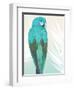 Tropical Bird 1-Marco Fabiano-Framed Art Print