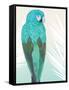 Tropical Bird 1-Marco Fabiano-Framed Stretched Canvas