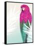 Tropical Bird 2-Marco Fabiano-Framed Stretched Canvas