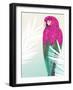 Tropical Bird 2-Marco Fabiano-Framed Art Print