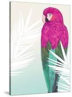 Tropical Bird 2-Marco Fabiano-Stretched Canvas