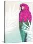 Tropical Bird 2-Marco Fabiano-Stretched Canvas