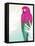 Tropical Bird 2-Marco Fabiano-Framed Stretched Canvas