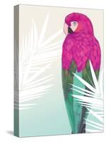 Tropical Bird 2-Marco Fabiano-Stretched Canvas