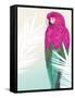 Tropical Bird 2-Marco Fabiano-Framed Stretched Canvas