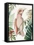 Tropical Bird I-Aimee Wilson-Framed Stretched Canvas