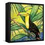 Tropical Bird II-Nicholas Biscardi-Framed Stretched Canvas