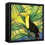 Tropical Bird II-Nicholas Biscardi-Framed Stretched Canvas