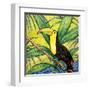 Tropical Bird II-Nicholas Biscardi-Framed Art Print