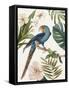 Tropical Bird II-Aimee Wilson-Framed Stretched Canvas