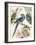 Tropical Bird II-Aimee Wilson-Framed Art Print