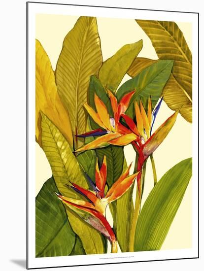 Tropical Bird of Paradise-Tim O'toole-Mounted Art Print