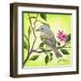 Tropical Bird-James Redding-Framed Art Print