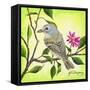 Tropical Bird-James Redding-Framed Stretched Canvas