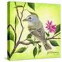 Tropical Bird-James Redding-Stretched Canvas