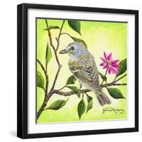 Tropical Bird-James Redding-Framed Art Print