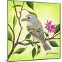 Tropical Bird-James Redding-Mounted Art Print