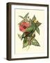 Tropical Birds and Botanicals I-null-Framed Art Print