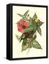 Tropical Birds and Botanicals I-null-Framed Stretched Canvas