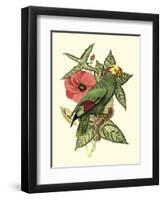 Tropical Birds and Botanicals I-null-Framed Art Print