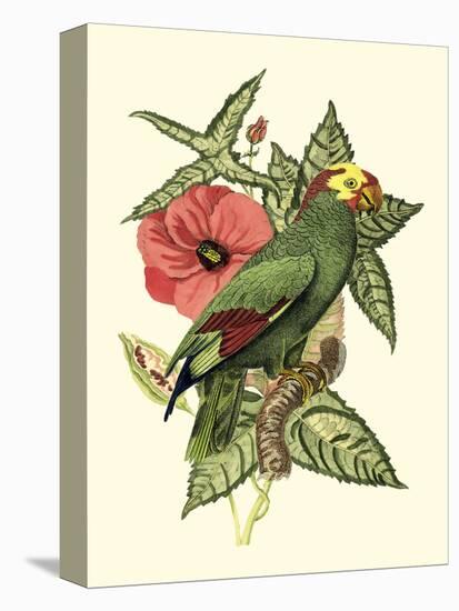 Tropical Birds and Botanicals I-null-Stretched Canvas