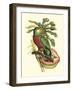 Tropical Birds and Botanicals II-null-Framed Art Print